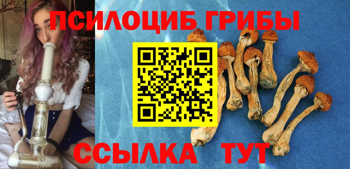 купить наркоту  Галлюциногенные грибы Magic Shrooms  Вход с VPN  Гурьевск 