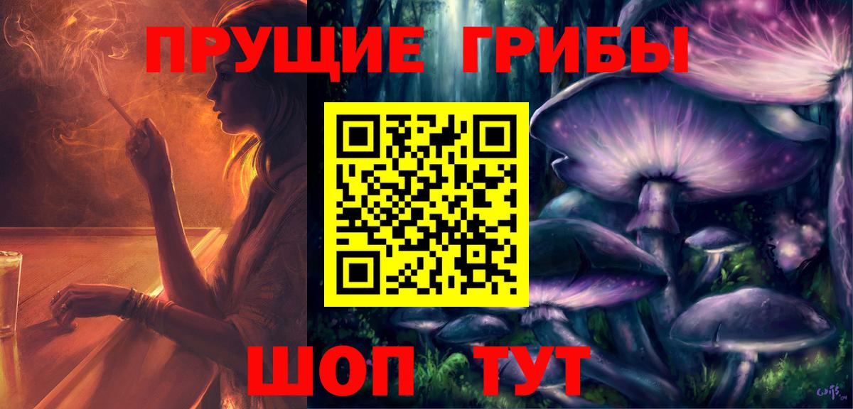 Псилоцибиновые грибы Cubensis Гурьевск